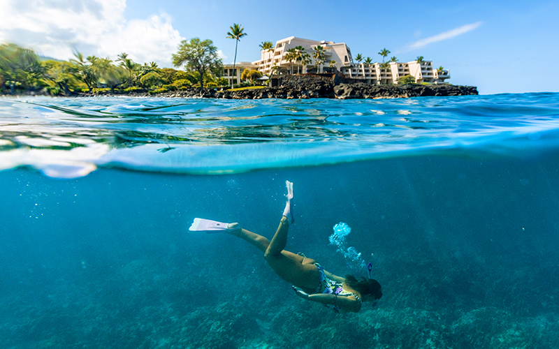 2025 NARBA Conference Outrigger Kona Resort and Spa Snorkel