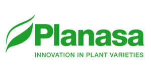 2025 NABC Bronze Sponsor Planasa Logo Medium